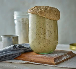 Rye sourdough starter